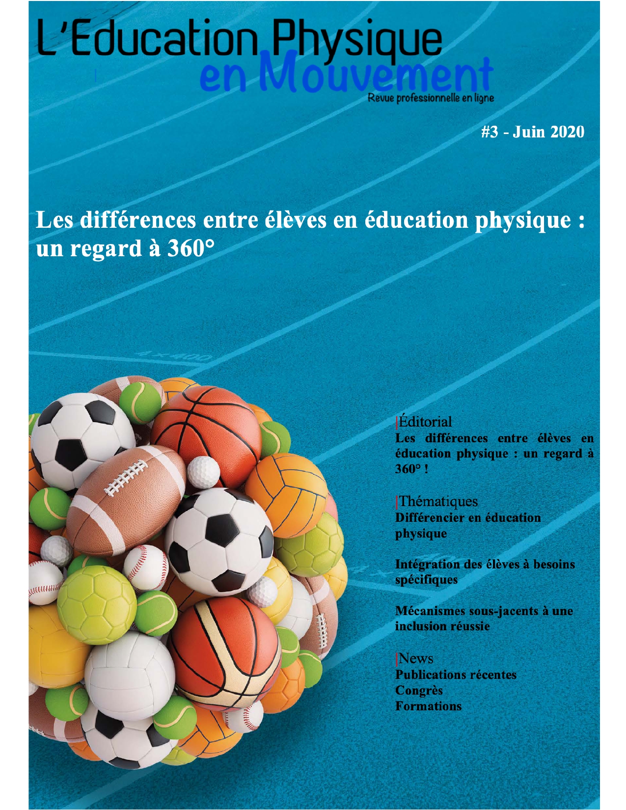 					Afficher No. 3 (2020): Les différences entre élèves en éducation physique : un regard à 360°
				